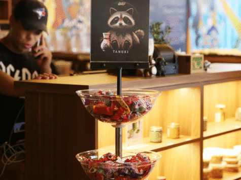 4 Tier Acrylic Bowl Display CAC-108