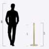 Satin-finished Stainless Steel Velvet Rope Stanchion CAC-104G - Image 2