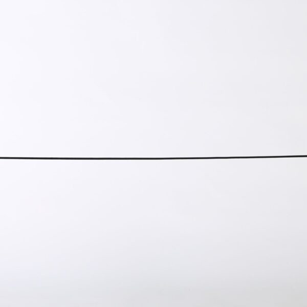 Exhibition Stanchions Belt
